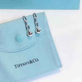 2020 Tiffany Hardwear 18k Platinum  Earrings 