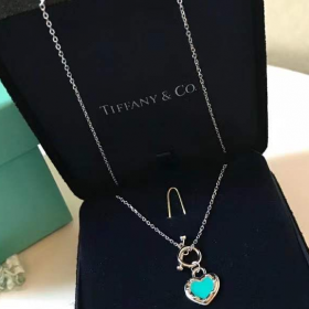 2020 Tiffany Love Heart 18k Platinum Necklaces  